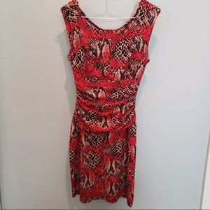 Animal Print Dress